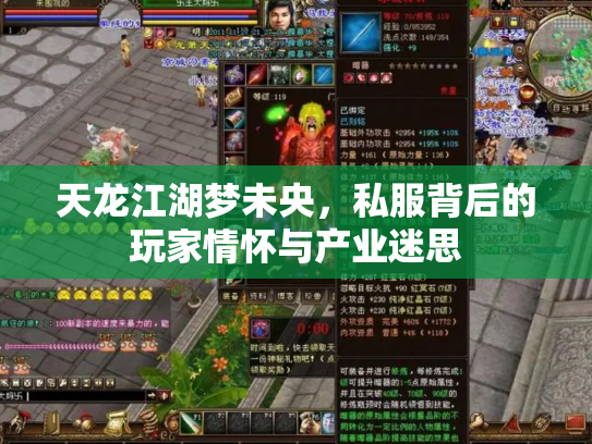 天龙江湖梦未央，私服背后的玩家情怀与产业迷思