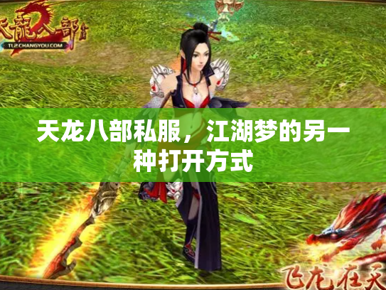 天龙八部私服，江湖梦的另一种打开方式
