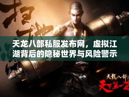 天龙八部私服发布网，虚拟江湖背后的隐秘世界与风险警示