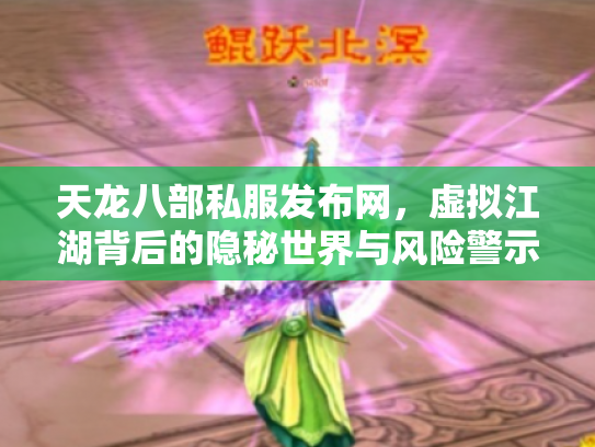 天龙八部私服发布网，虚拟江湖背后的隐秘世界与风险警示