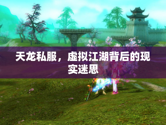 天龙私服，虚拟江湖背后的现实迷思