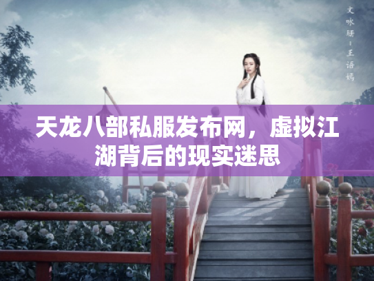 天龙八部私服发布网，虚拟江湖背后的现实迷思