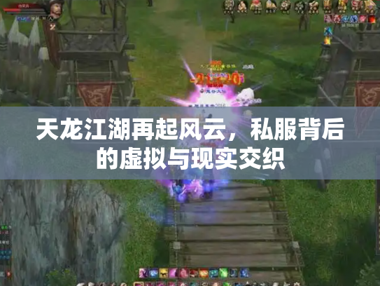 天龙江湖再起风云，私服背后的虚拟与现实交织