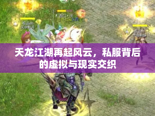 天龙江湖再起风云，私服背后的虚拟与现实交织