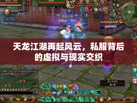 天龙江湖再起风云，私服背后的虚拟与现实交织