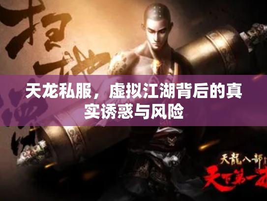 天龙私服，虚拟江湖背后的真实诱惑与风险