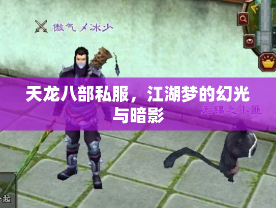 天龙八部私服，江湖梦的幻光与暗影