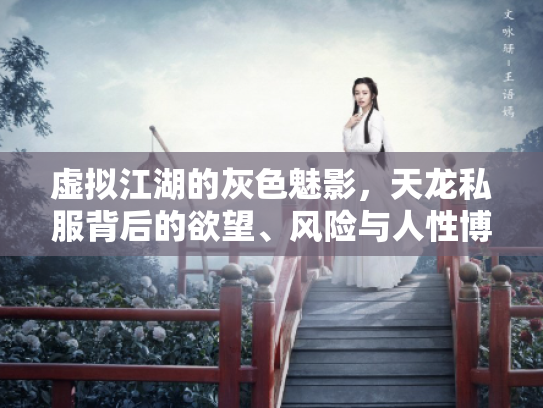 虚拟江湖的灰色魅影，天龙私服背后的欲望、风险与人性博弈