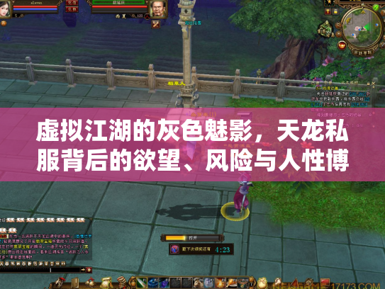 虚拟江湖的灰色魅影，天龙私服背后的欲望、风险与人性博弈