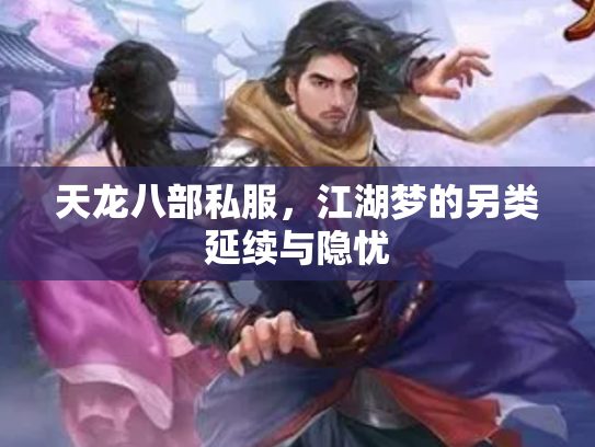 天龙八部私服，江湖梦的另类延续与隐忧