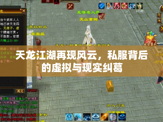 天龙江湖再现风云，私服背后的虚拟与现实纠葛