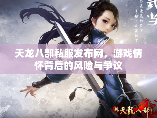 天龙八部私服发布网，游戏情怀背后的风险与争议