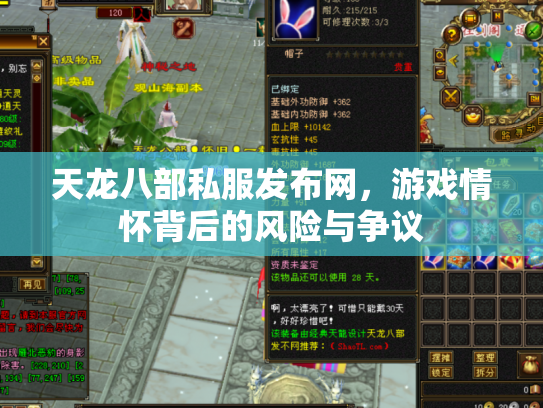 天龙八部私服发布网，游戏情怀背后的风险与争议