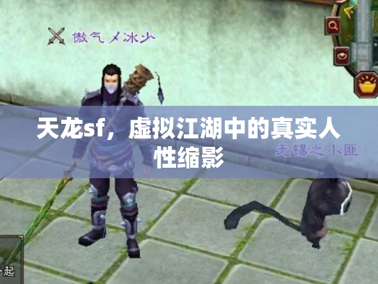天龙sf，虚拟江湖中的真实人性缩影