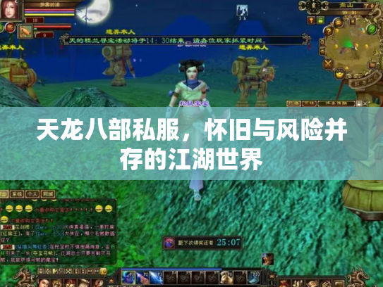 天龙八部私服，怀旧与风险并存的江湖世界