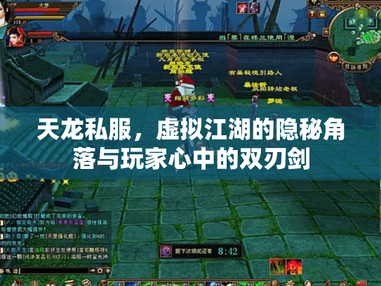 天龙私服，虚拟江湖的隐秘角落与玩家心中的双刃剑
