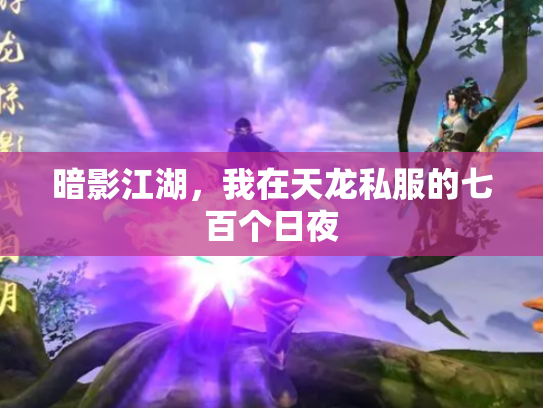 暗影江湖，我在天龙私服的七百个日夜