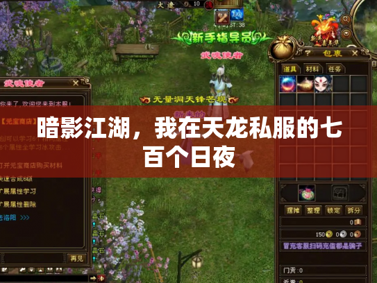 暗影江湖，我在天龙私服的七百个日夜