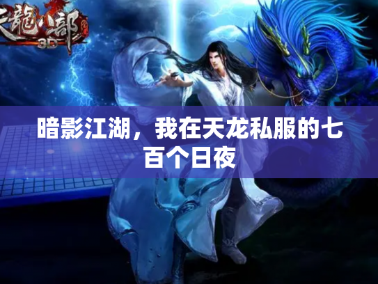 暗影江湖，我在天龙私服的七百个日夜