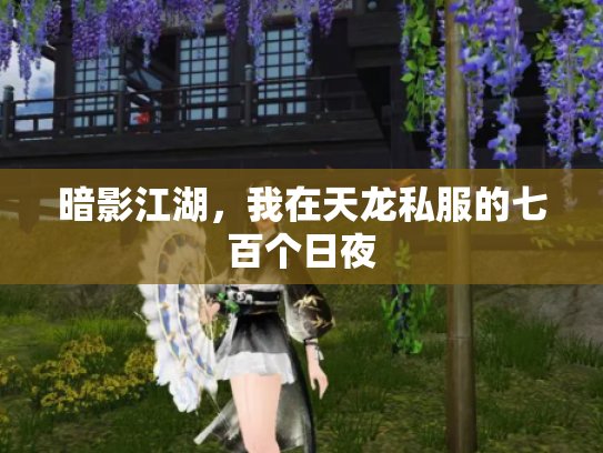暗影江湖，我在天龙私服的七百个日夜