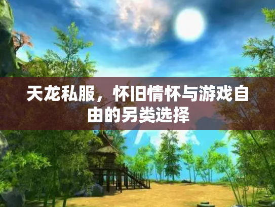 天龙私服，怀旧情怀与游戏自由的另类选择