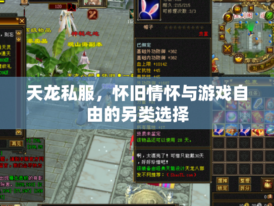 天龙私服，怀旧情怀与游戏自由的另类选择