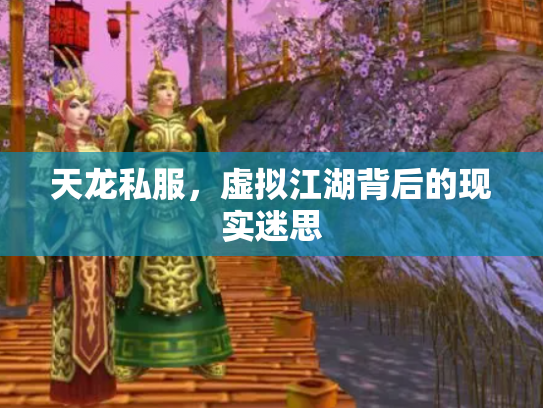 天龙私服，虚拟江湖背后的现实迷思