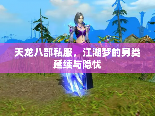 天龙八部私服，江湖梦的另类延续与隐忧