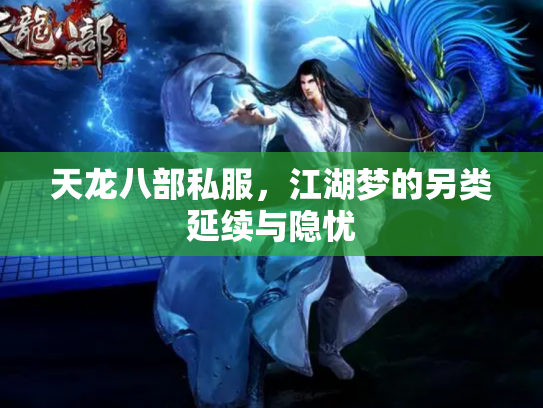 天龙八部私服，江湖梦的另类延续与隐忧