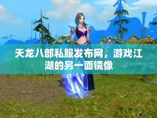 天龙八部私服发布网，游戏江湖的另一面镜像