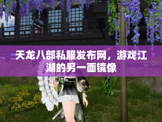 天龙八部私服发布网，游戏江湖的另一面镜像