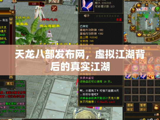 天龙八部发布网，虚拟江湖背后的真实江湖