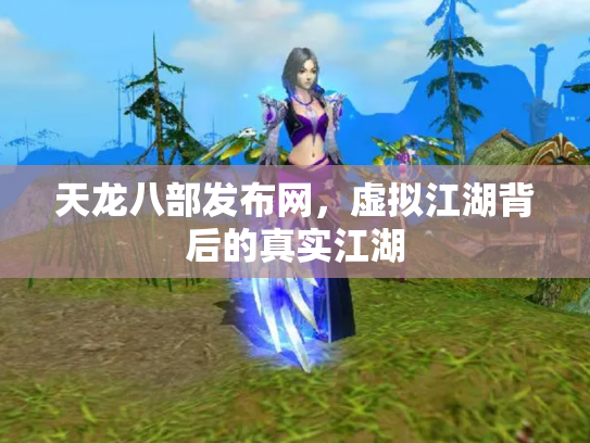 天龙八部发布网，虚拟江湖背后的真实江湖