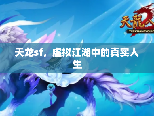 天龙sf，虚拟江湖中的真实人生