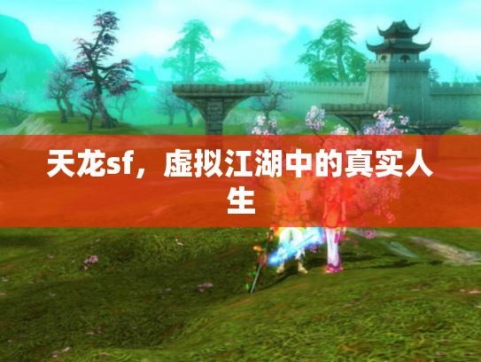 天龙sf，虚拟江湖中的真实人生