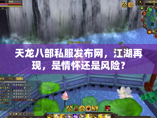 天龙八部私服发布网，江湖再现，是情怀还是风险？