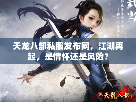 天龙八部私服发布网，江湖再起，是情怀还是风险？