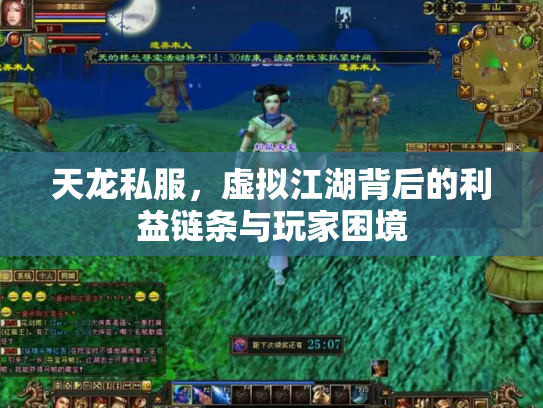 天龙私服，虚拟江湖背后的利益链条与玩家困境