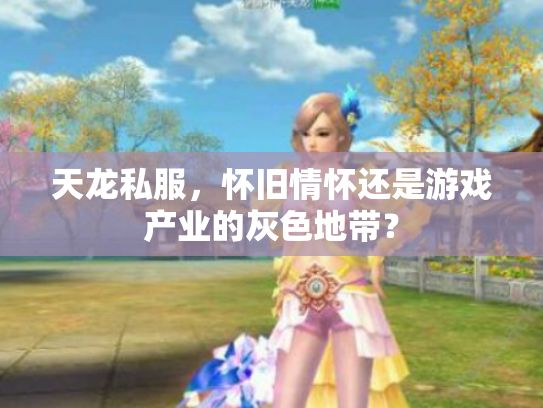 天龙私服，怀旧情怀还是游戏产业的灰色地带？