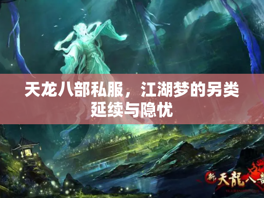 天龙八部私服，江湖梦的另类延续与隐忧