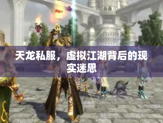 天龙私服，虚拟江湖背后的现实迷思