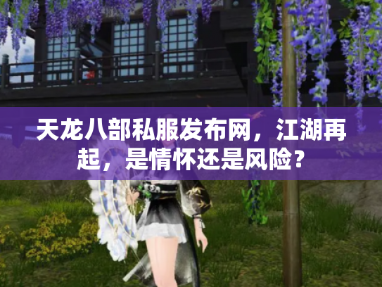 天龙八部私服发布网，江湖再起，是情怀还是风险？