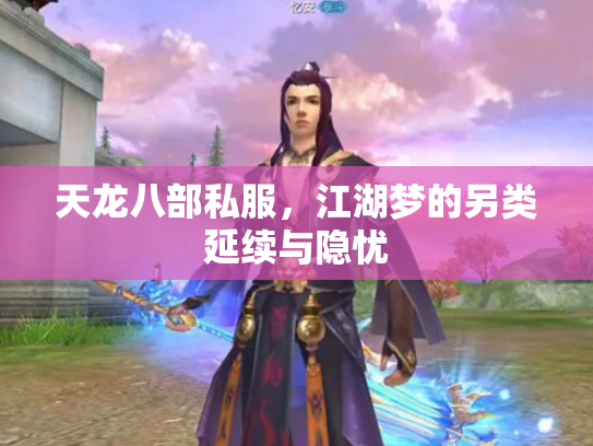 天龙八部私服，江湖梦的另类延续与隐忧