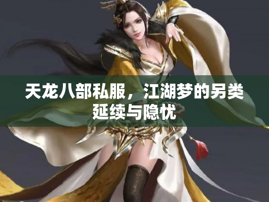 天龙八部私服，江湖梦的另类延续与隐忧