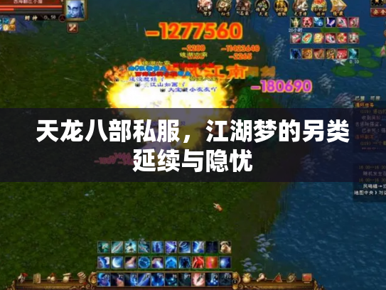 天龙八部私服，江湖梦的另类延续与隐忧