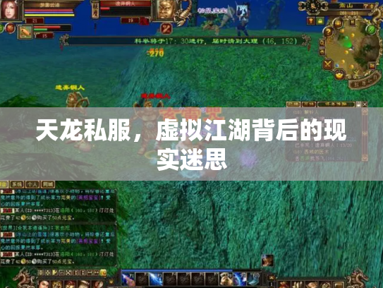 天龙私服，虚拟江湖背后的现实迷思