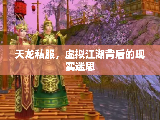 天龙私服，虚拟江湖背后的现实迷思