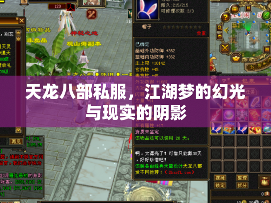 天龙八部私服，江湖梦的幻光与现实的阴影