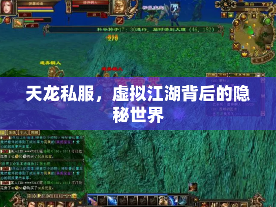 天龙私服，虚拟江湖背后的隐秘世界