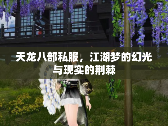 天龙八部私服，江湖梦的幻光与现实的荆棘